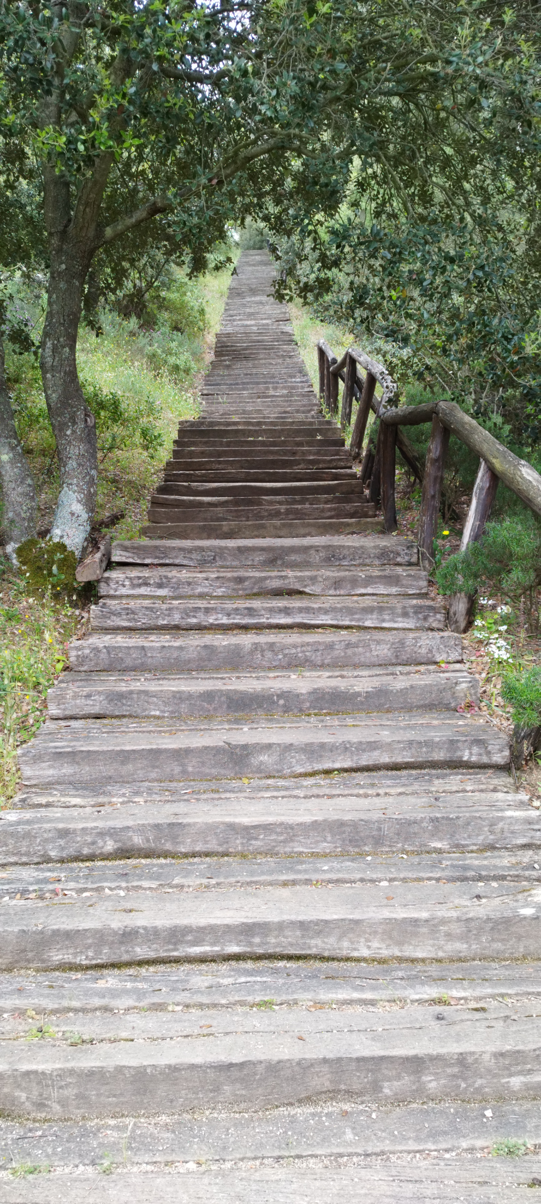 Parco Pineta di Ugolio
