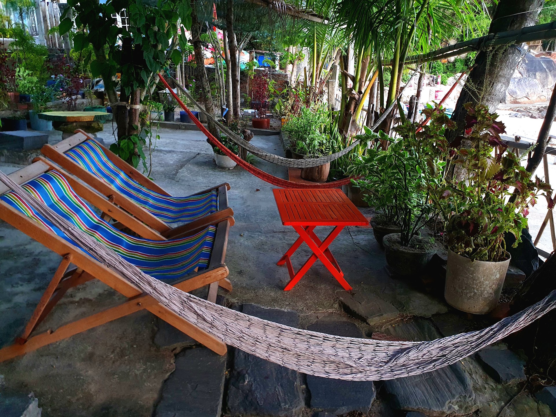 Coconut cove