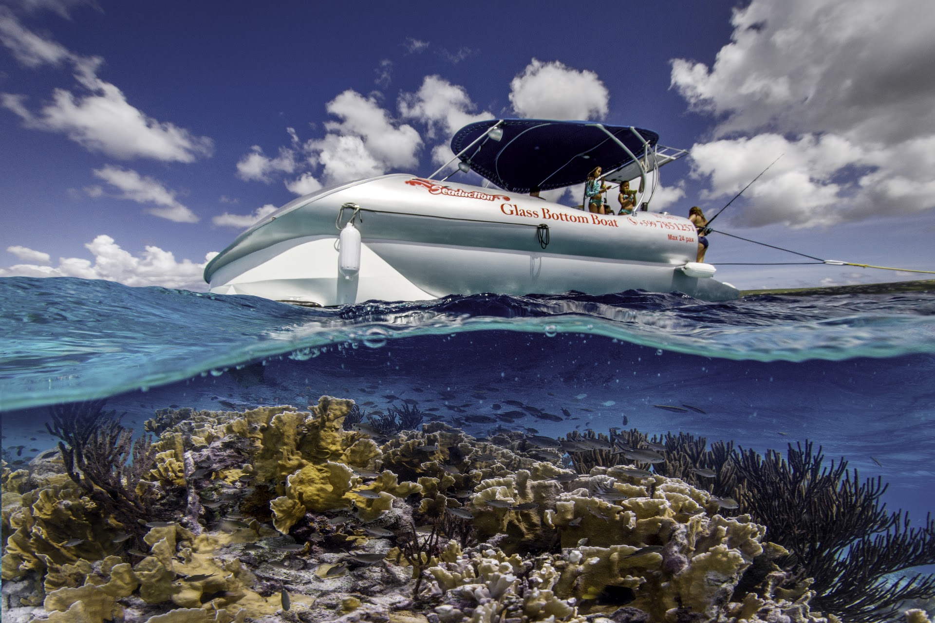 Paradise Adventures Bonaire