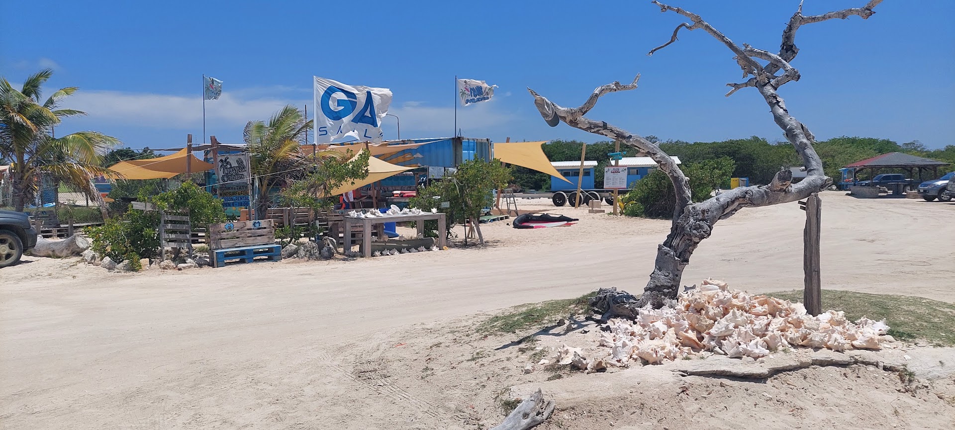 Bonaire East Coast Diving