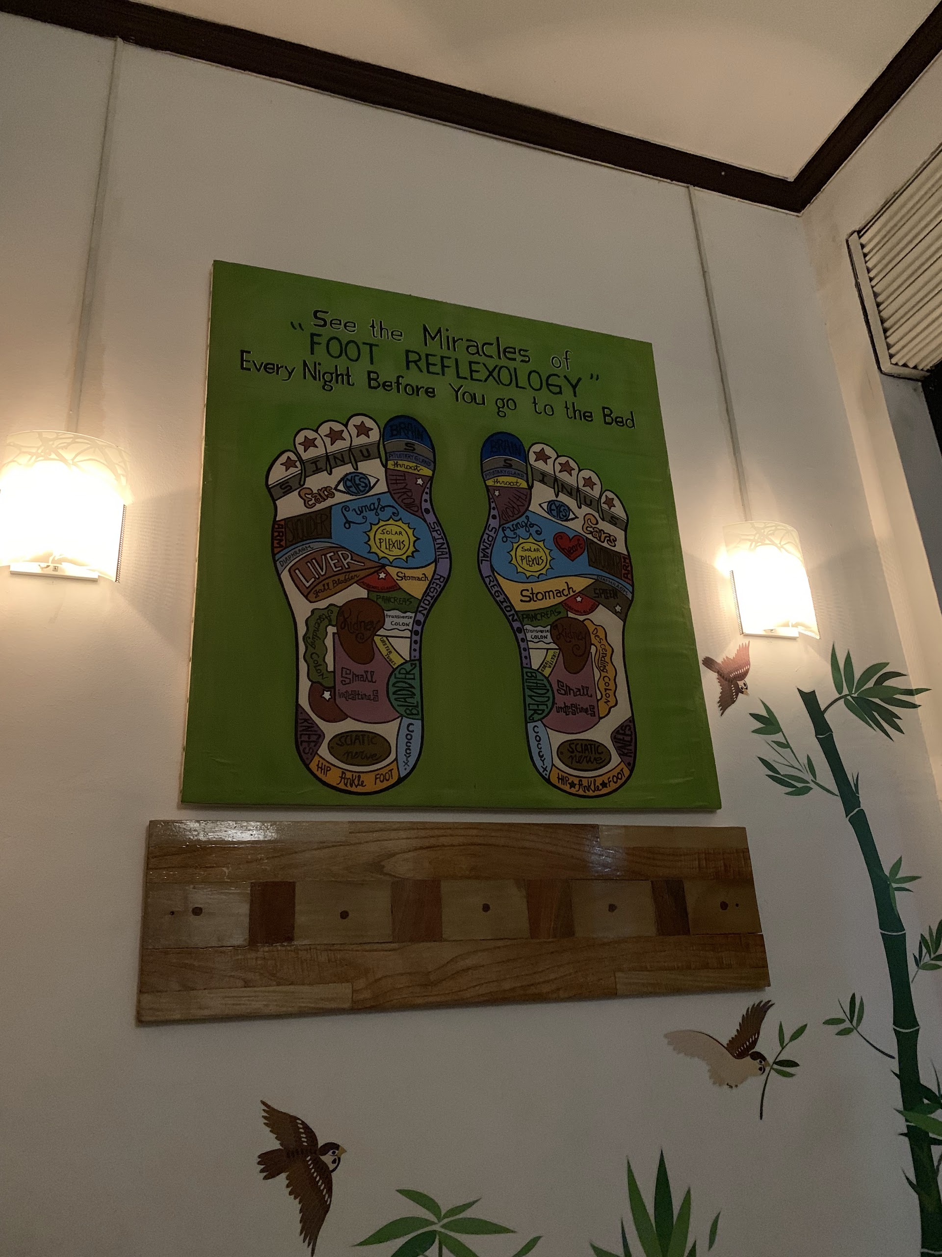 The Foot Doctor