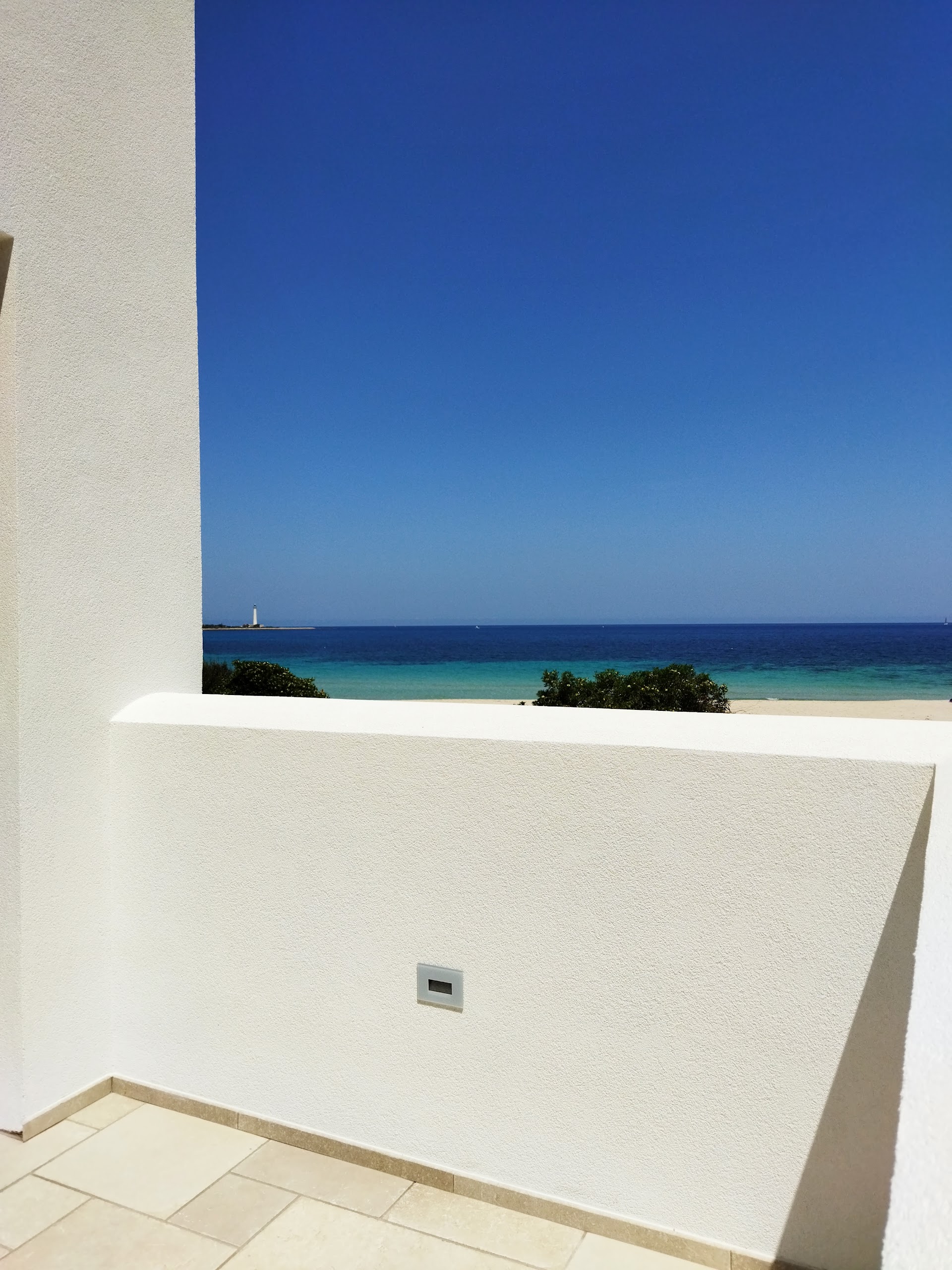 Zizha Suite