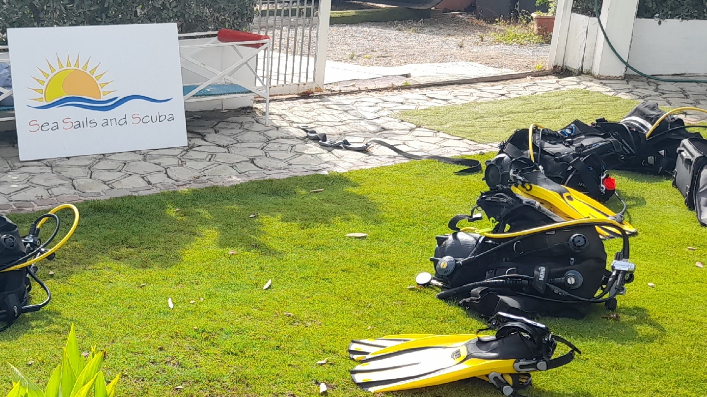 ASD Sea Sails and Scuba - Diving club