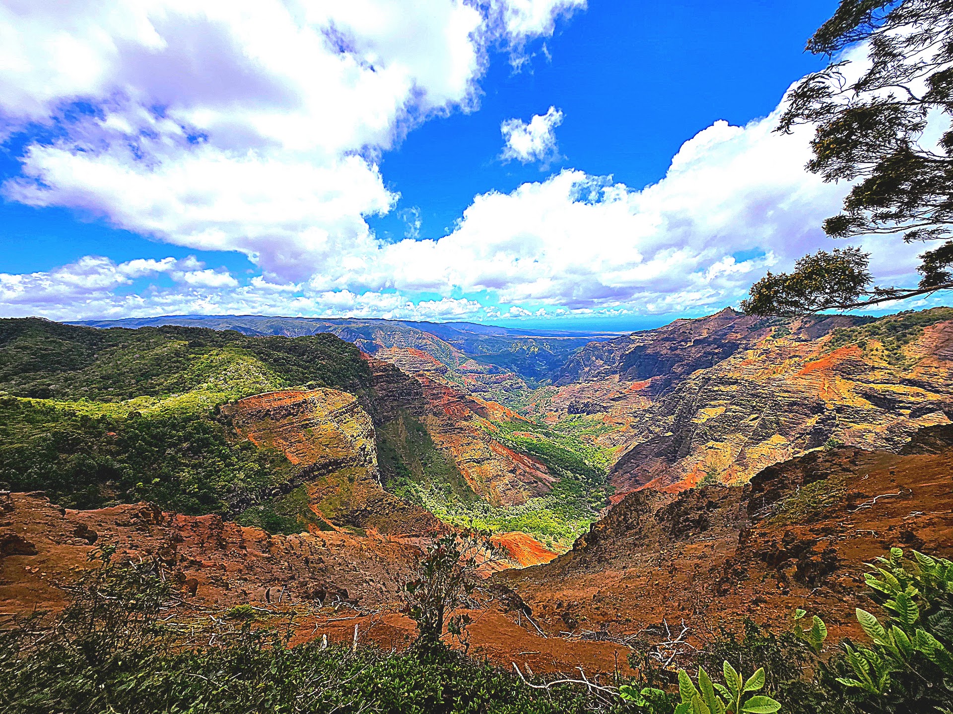 Waimea Canyon Trail