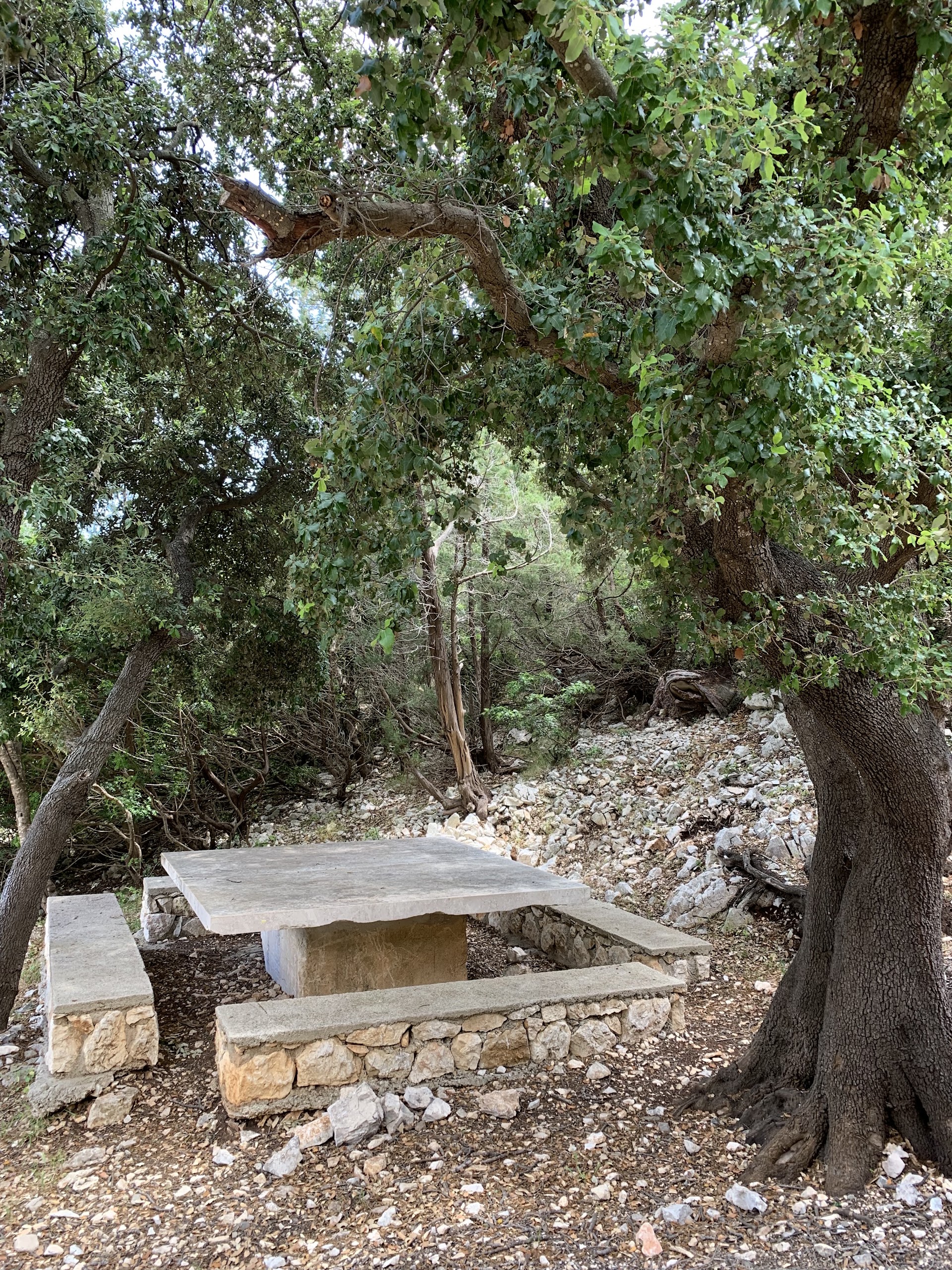 Area Picnic del Monte Malospes