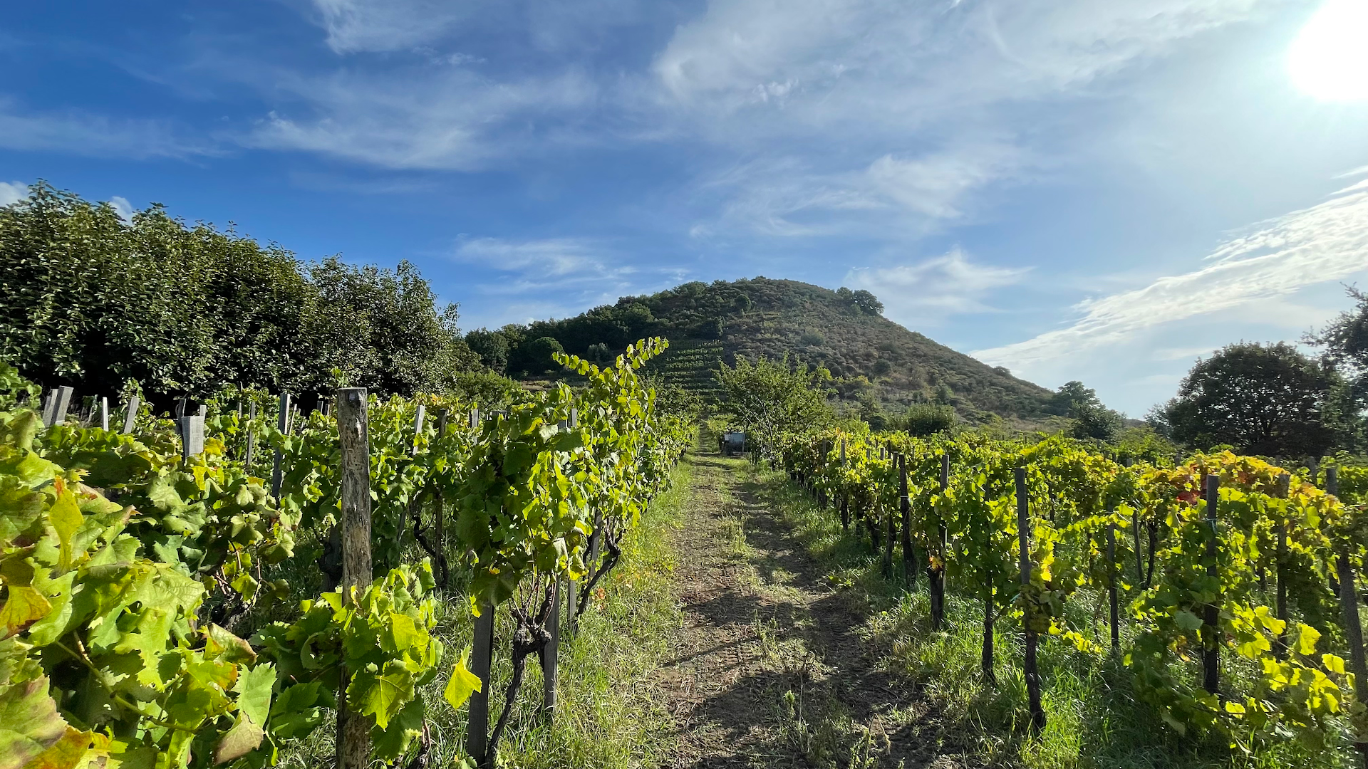 Biondi – Etna Wine Tasting & Winery