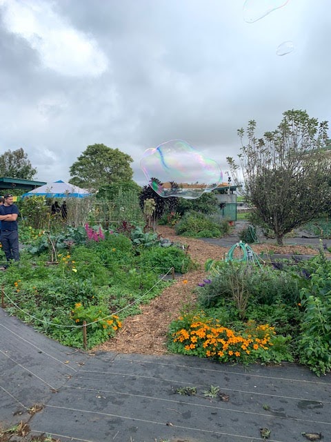 Mala'ai: The Culinary Garden of Waimea Middle School