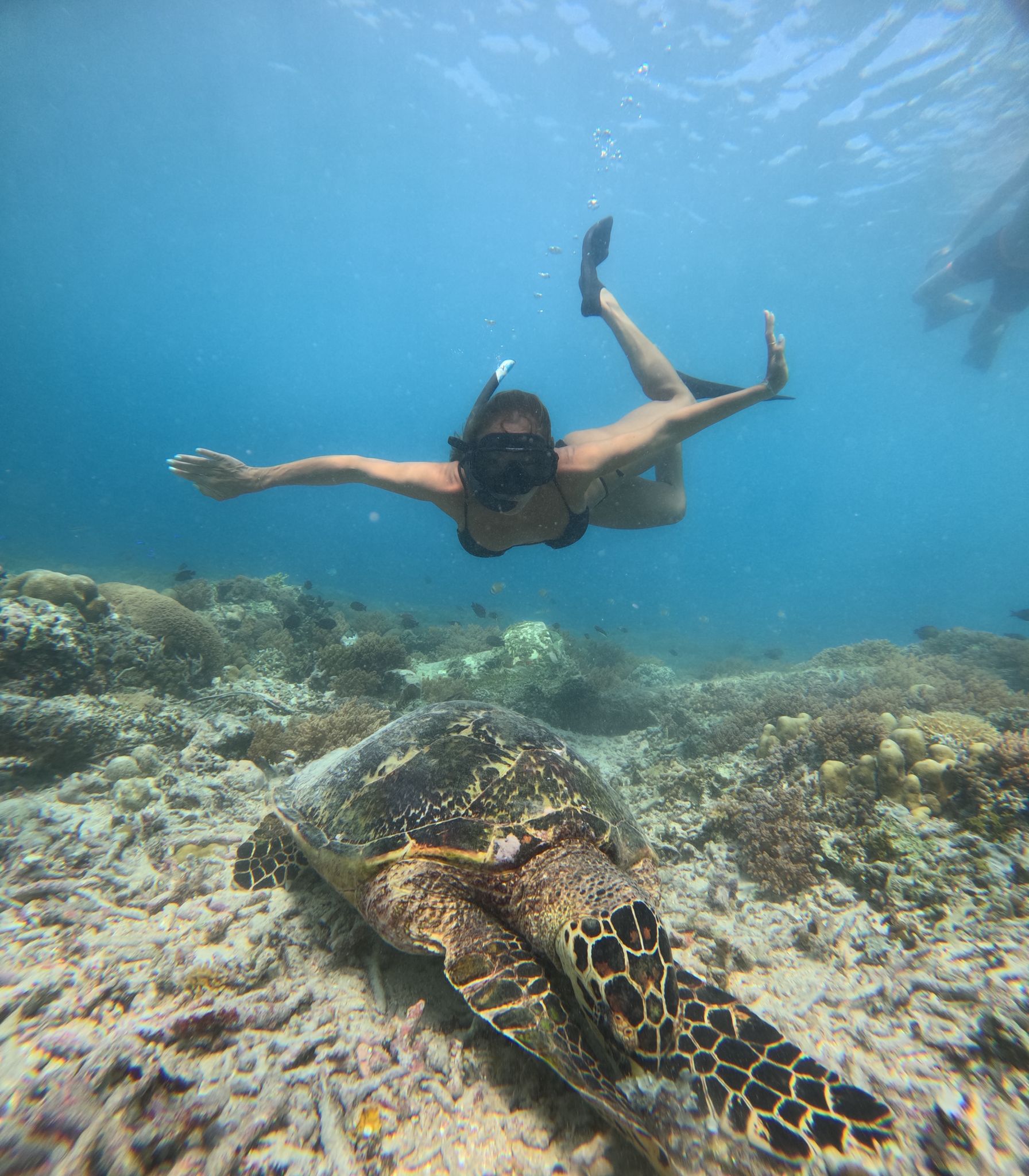 Fast Boat Ticket & Tours (Nusa Penida , Nusa Lembongan and Gili & Lombok) & Tour Around Bali Island