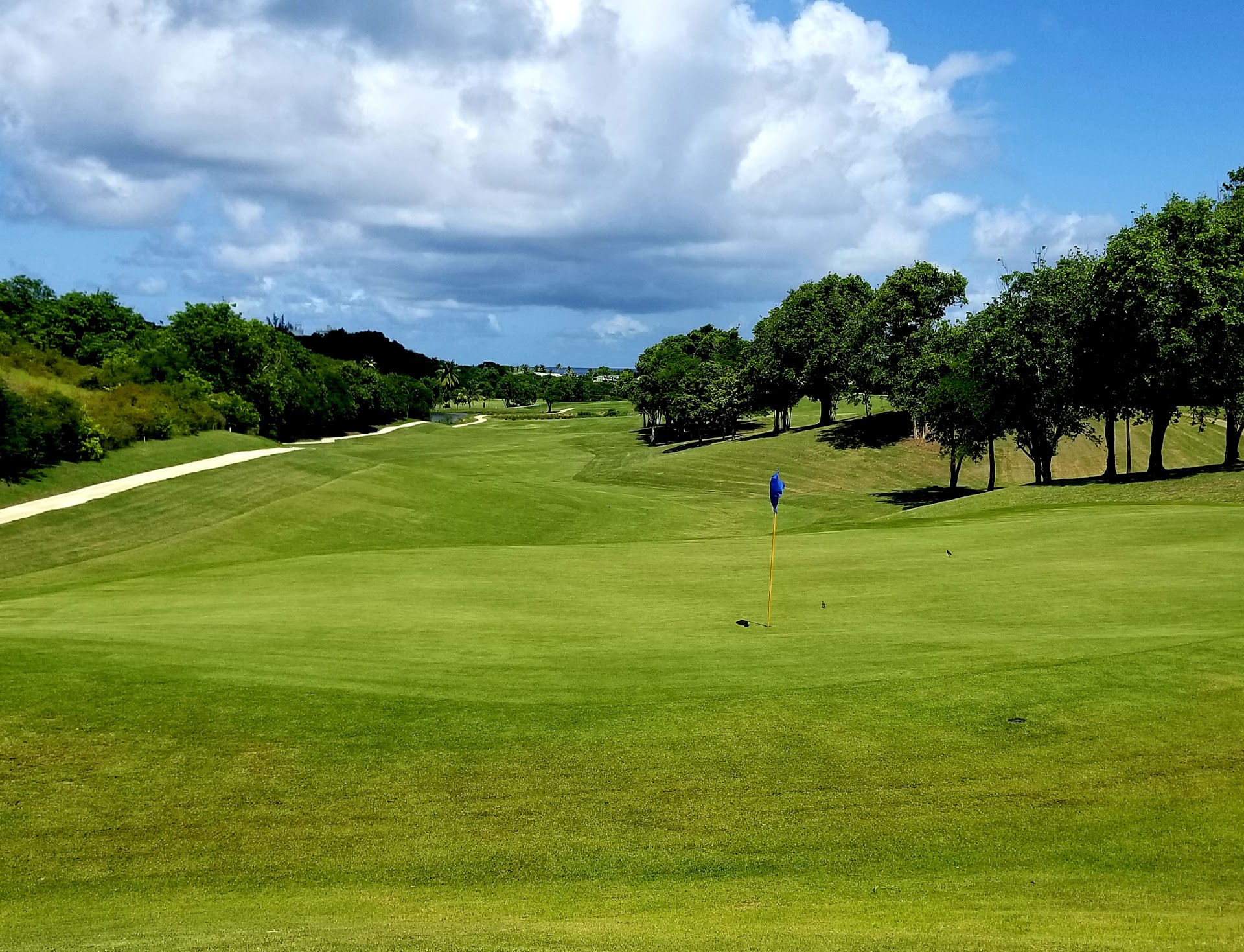 Sandals Golf And Country Club