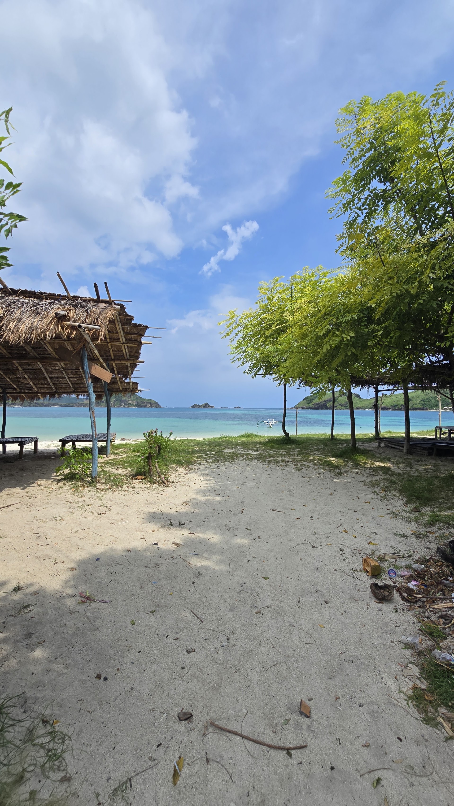 Beaches Lyfe Surf Club