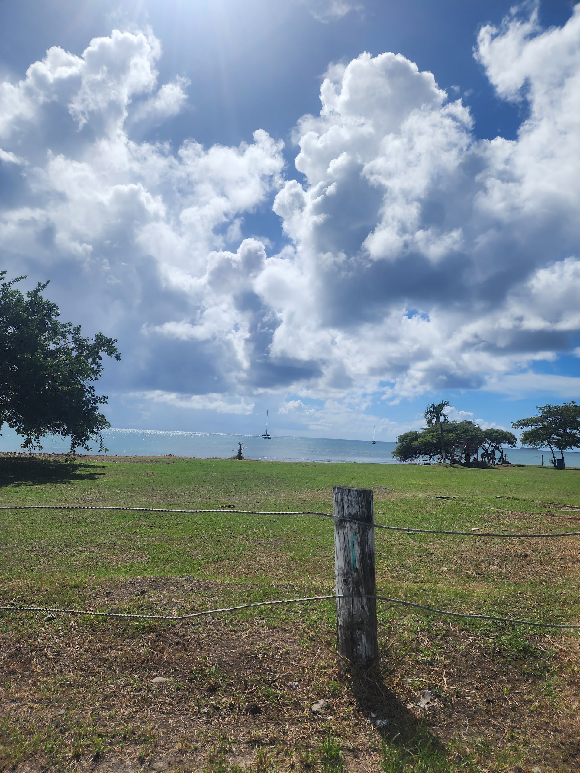 The Spot