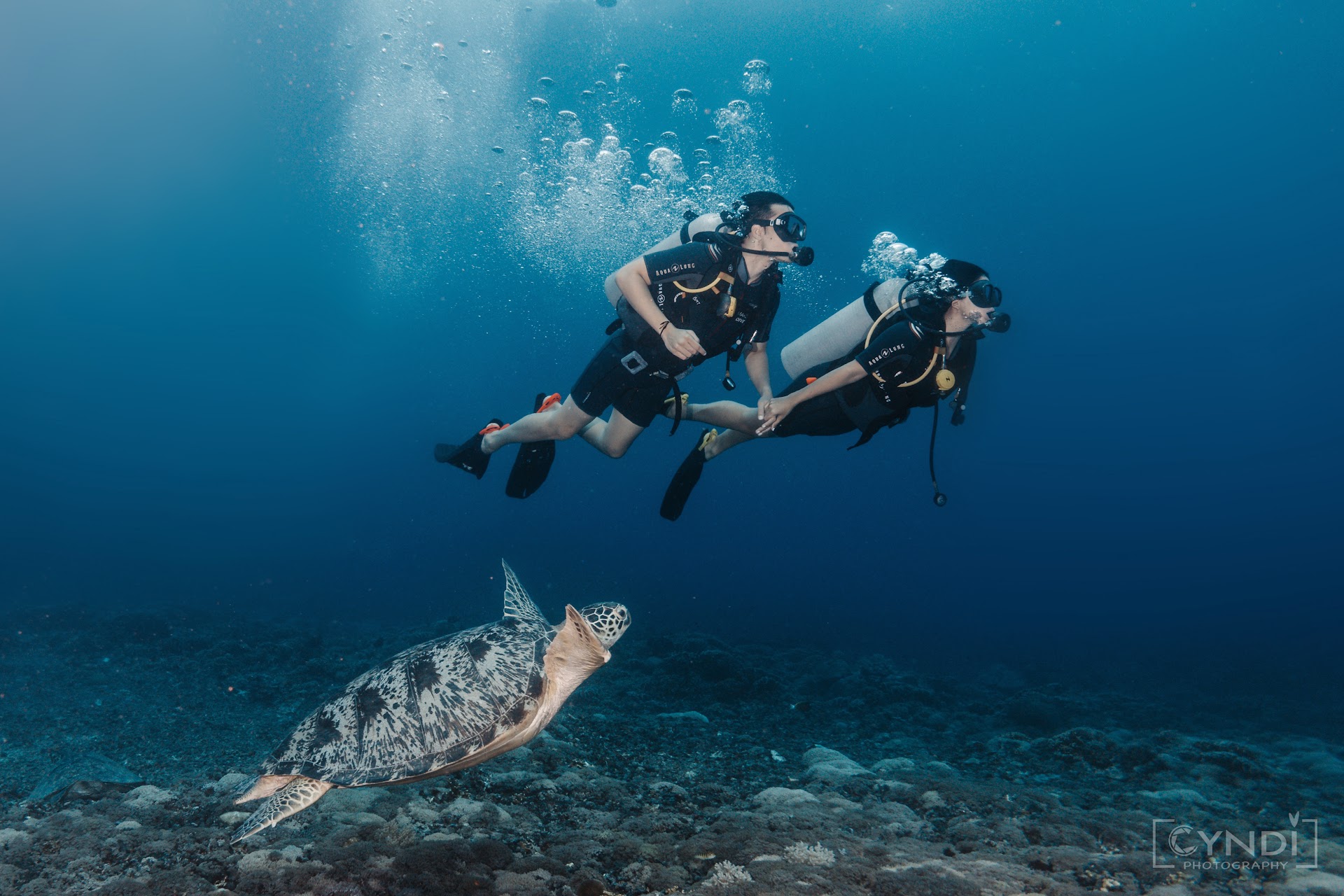 Blue Marlin Dive & Hotel - Gili Trawangan