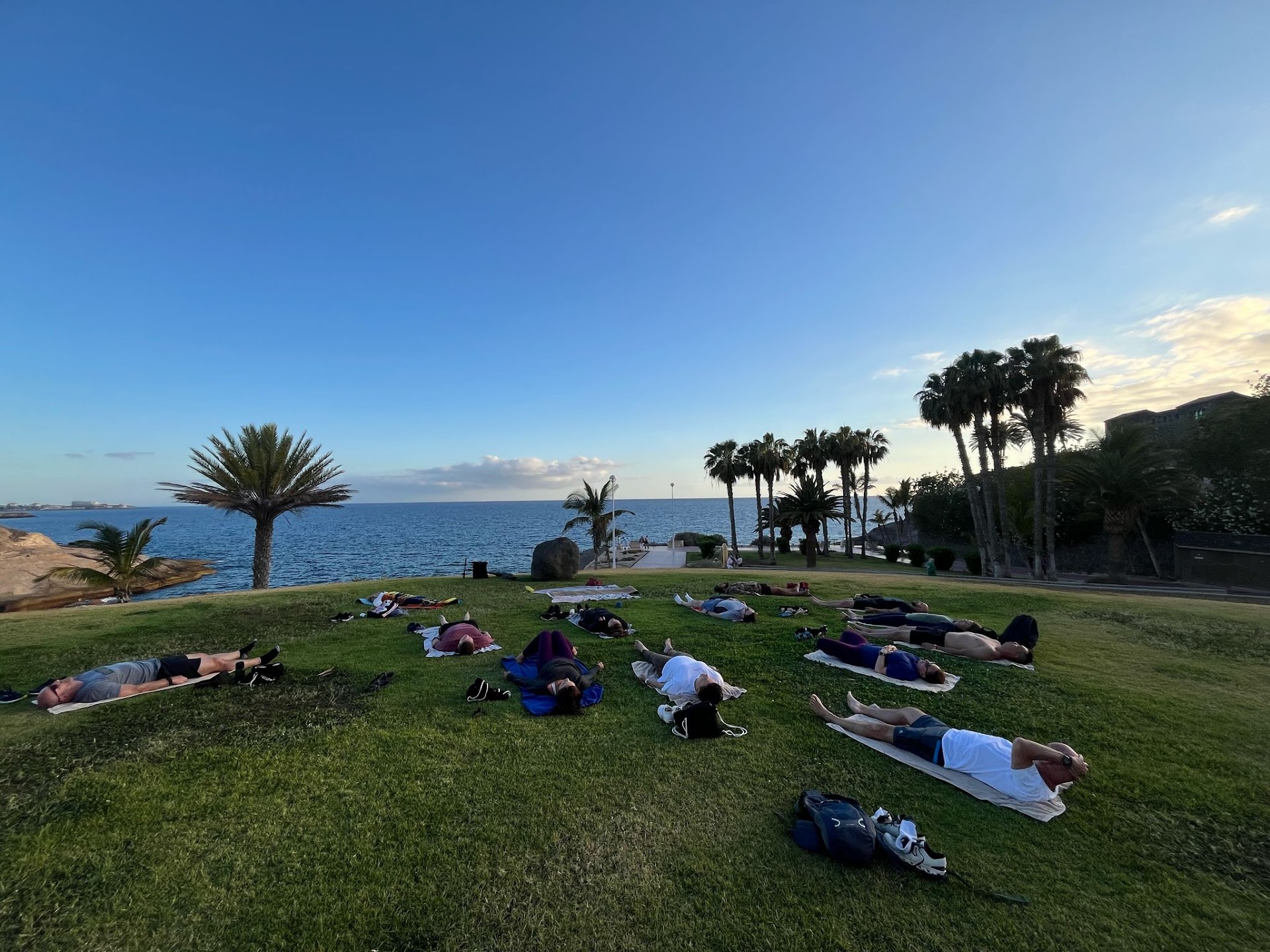 Yoga & Breathwork w/ Carina