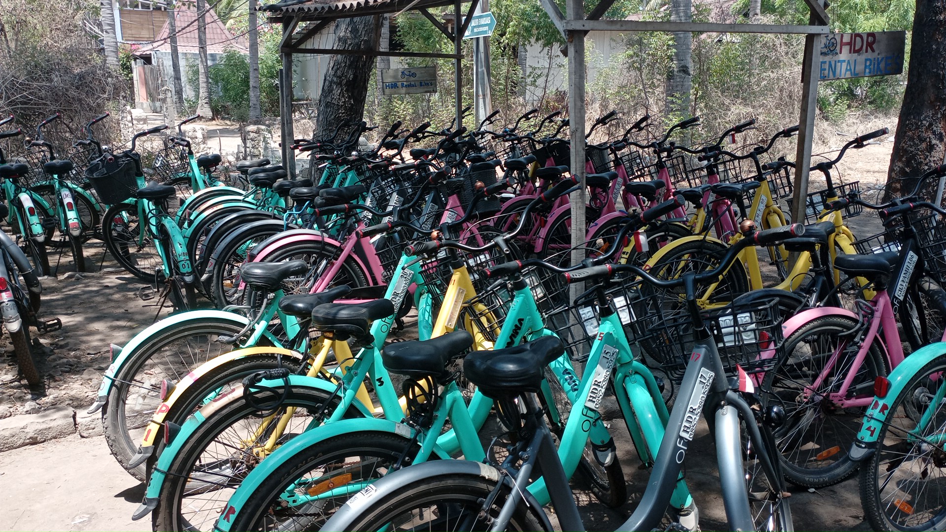 Hdr rental bikes
