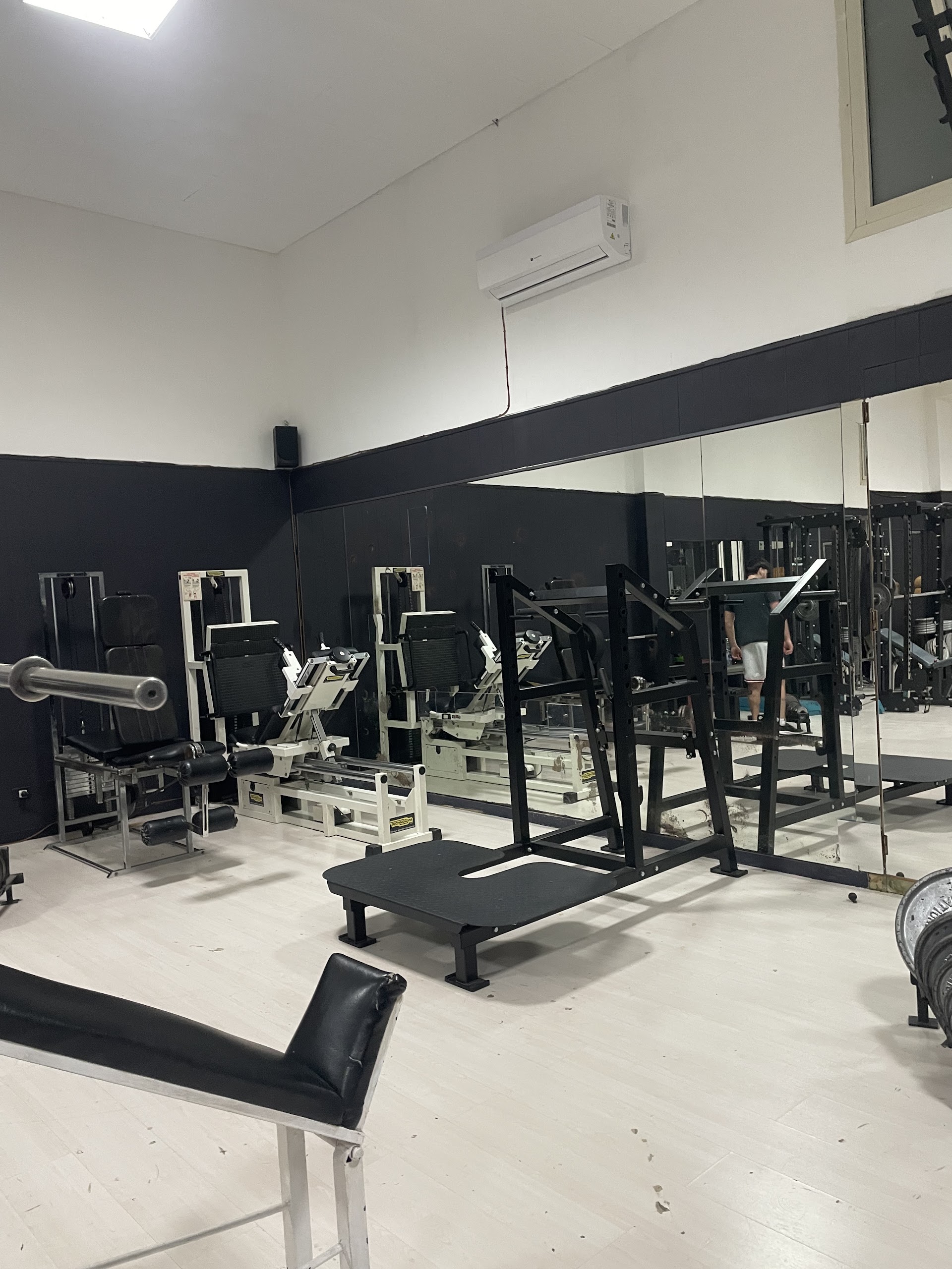 Dinos Gym