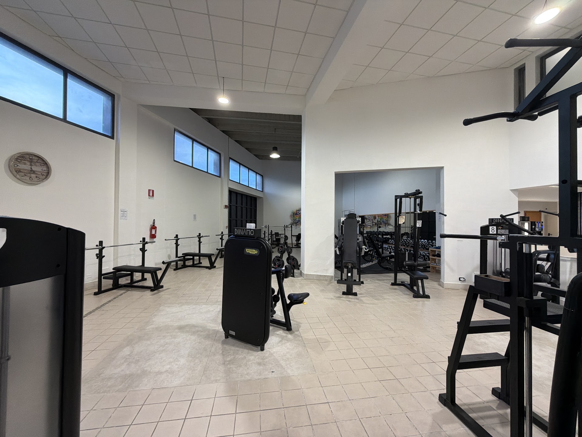 Dinamo La Palestra