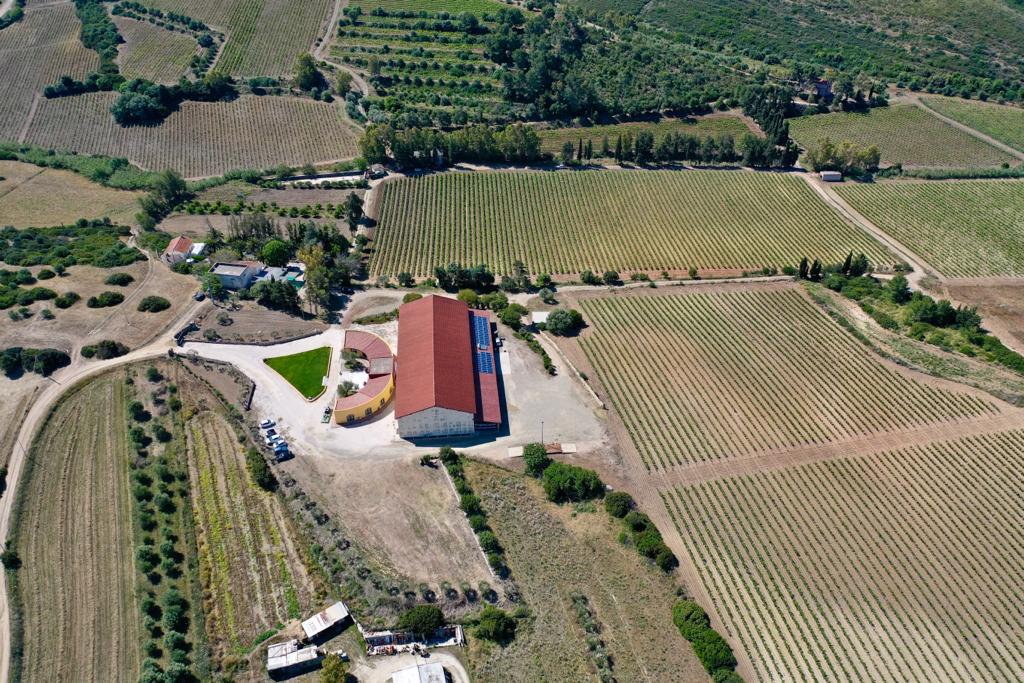 Cantina tenute Carlo Pili