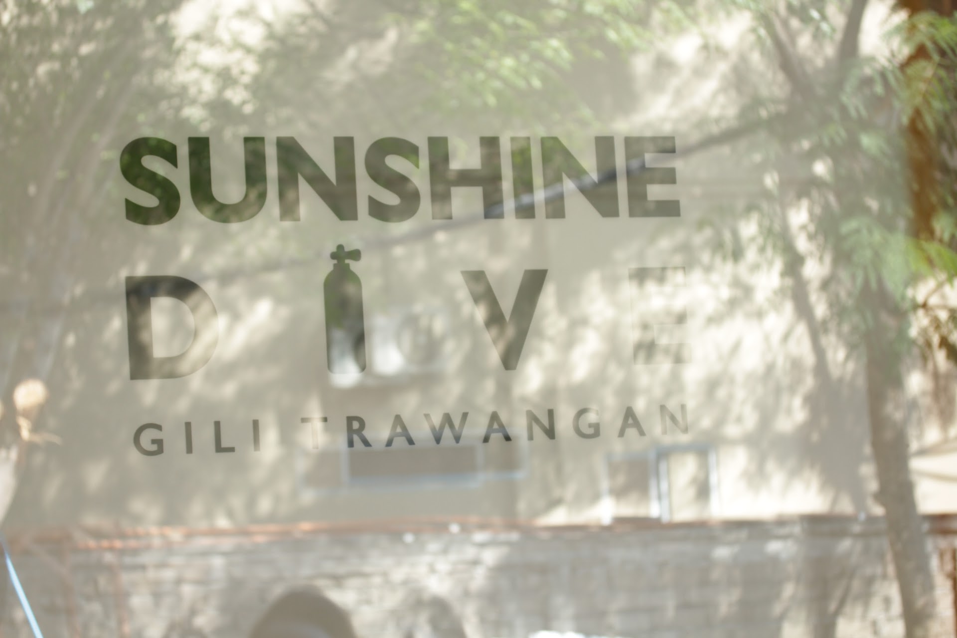 SUNSHINE DIVE