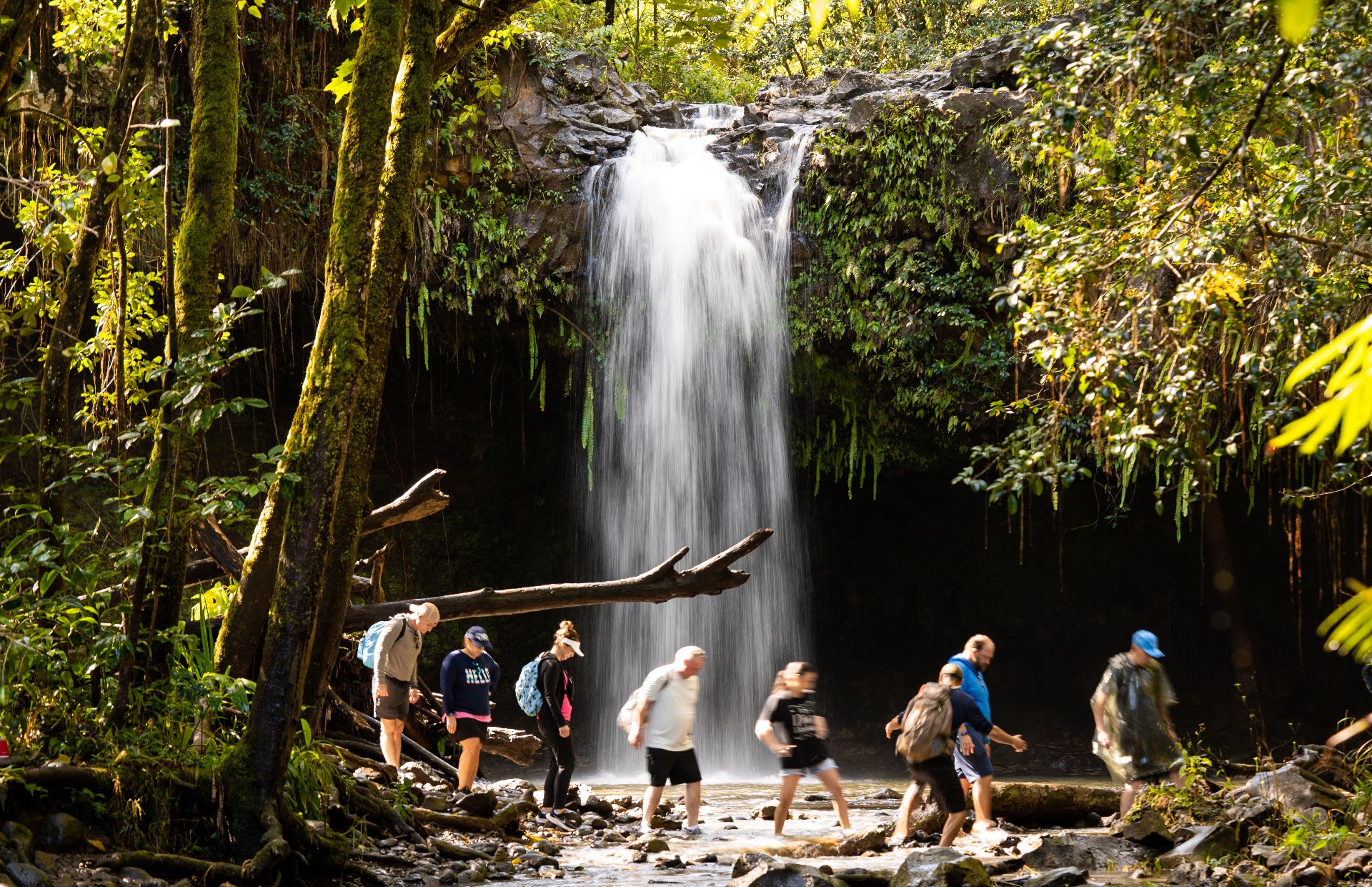 Hike Maui